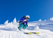 开云棋牌平台-撕裂防线，灰熊猛攻显威，米切尔无人可挡，篮网防线溃不成军