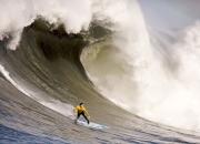 游戏试玩模拟器-尼日利亚硬仗取胜波兰，卡拉斯科成为关键先生