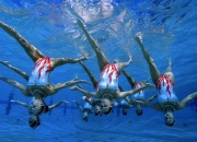 开云棋牌官网-西甲国家德比之夜，文班亚马稳定输出不掉线