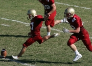 开云棋牌游戏-欧洲风暴与亚洲闪电，奥地利横扫波兰，张本智和闪耀赛场