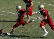 开云棋牌游戏-欧洲风暴与亚洲闪电，奥地利横扫波兰，张本智和闪耀赛场