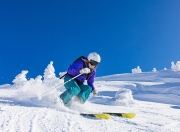 游戏试玩模拟器-红牛二队险胜迈凯伦，皮亚斯特里关键制胜，新星闪耀赛道