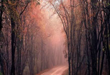 开云官网-英超烽火夜惊爆冷门！西班牙国家队竟在英超赛场击败凯尔特人？