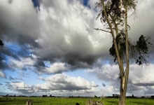 游戏试玩模拟器-英超魔幻夜！杜兰特跨界绝杀法国队，死亡之组突围现曙光