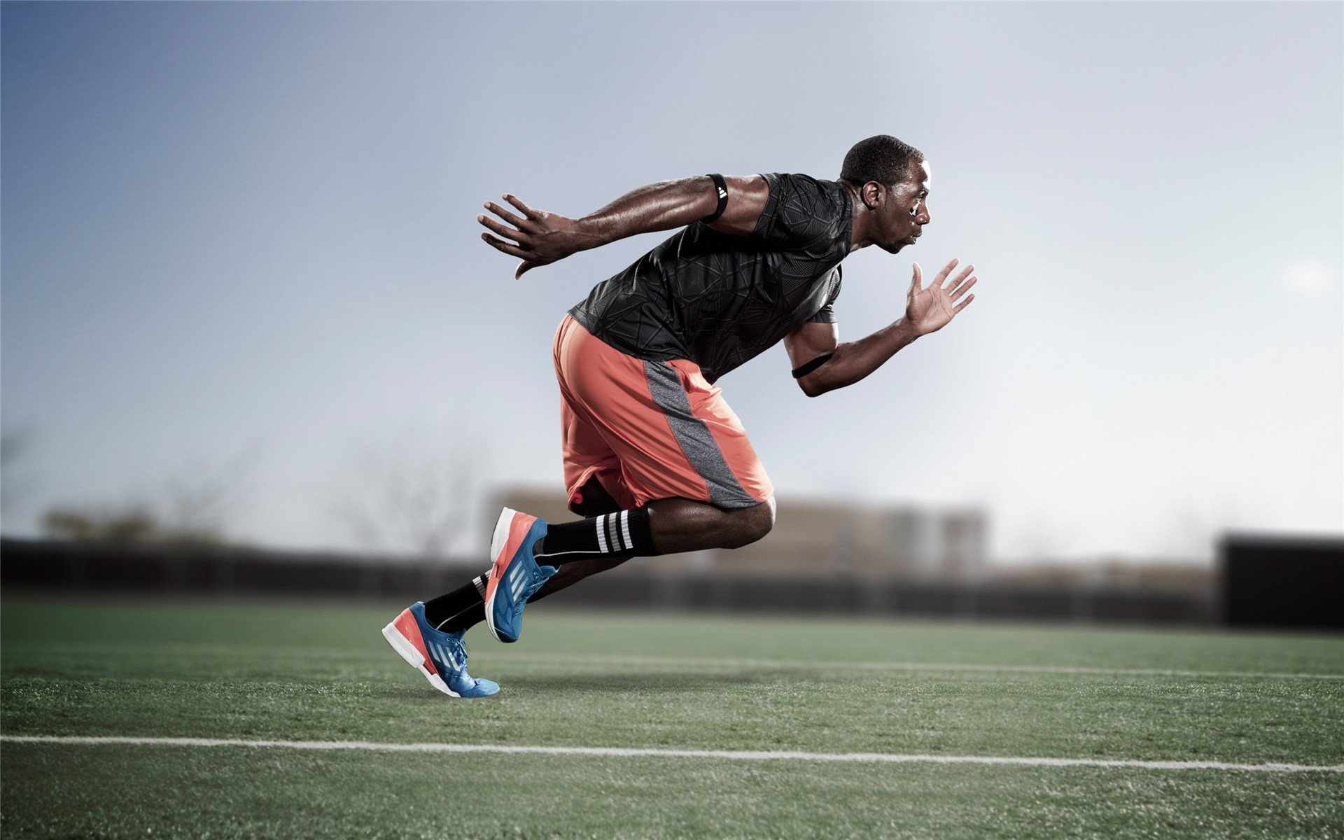 赛道与球场，速度与力量的跨界交响—F1揭幕战与灰熊鹈鹕之战的双重奏